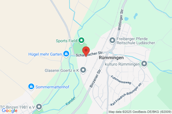 APS Südbaden GmbH
