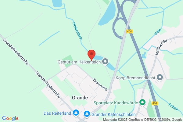 Trapp Immobilien OHG