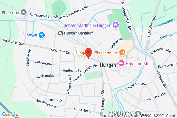 Hof-Apotheke Hungen, Inhaber
