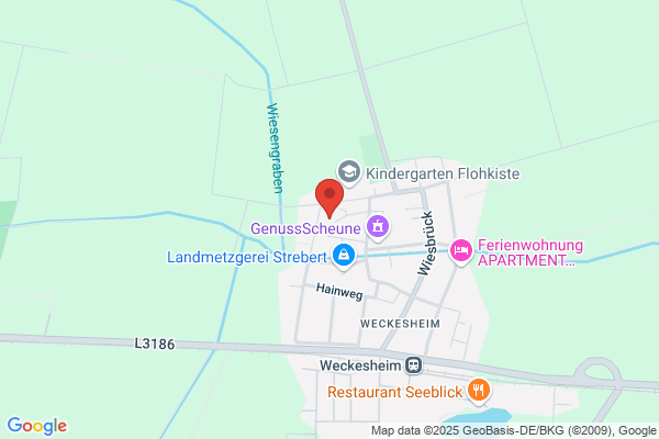 Kriegck, Gerhard
