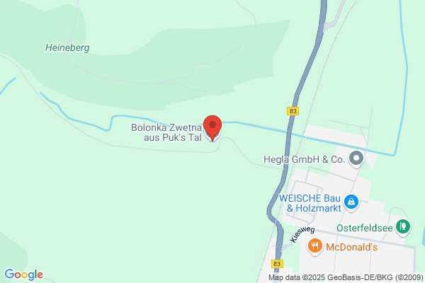 Bolonka vom Zarskoje Selo