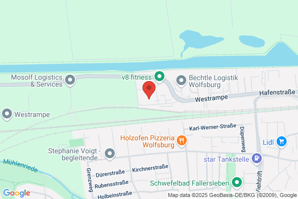 Kamphenkel