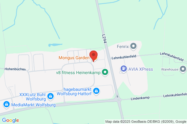 Magna Exteriors GmbH
