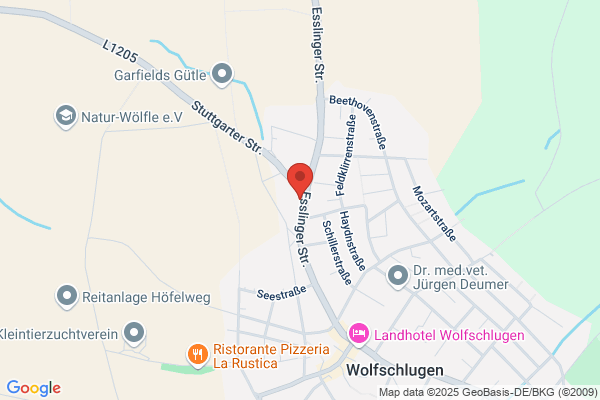 Wendel GmbH