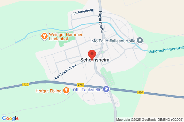 Volker Nehrbaß-Ahles