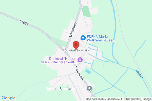 Hermann Posse