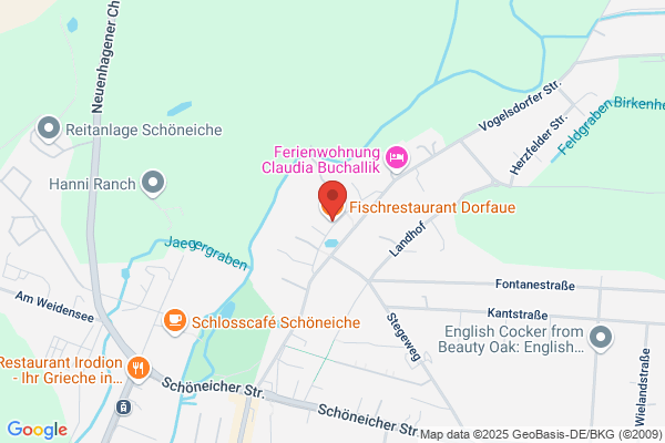 Dorfaue