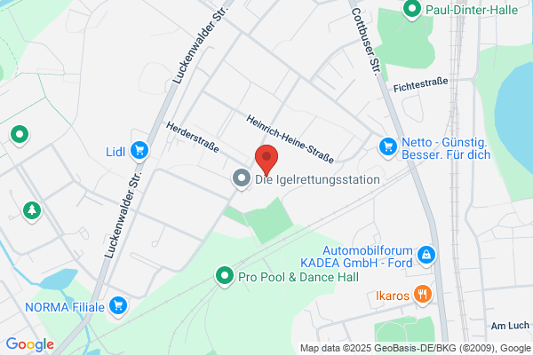 Staatliche Gesamtschule