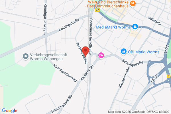 e-motion e-Bike Welt Worms