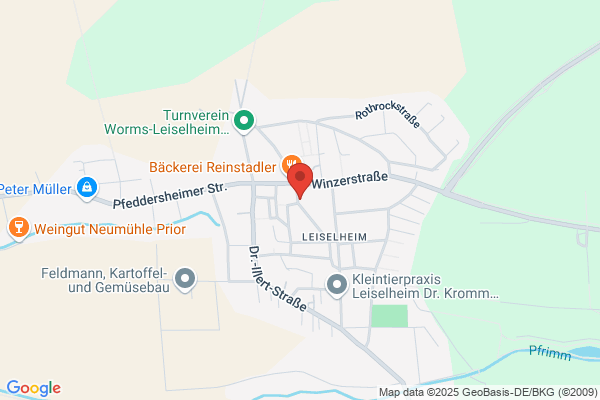 Landhaus Rebstock Worms