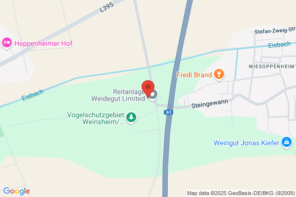 Reitanlage Weidegut Limited