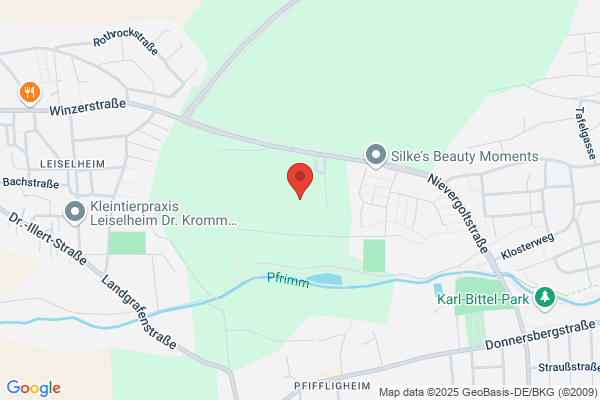 Diesterweg Grundschule