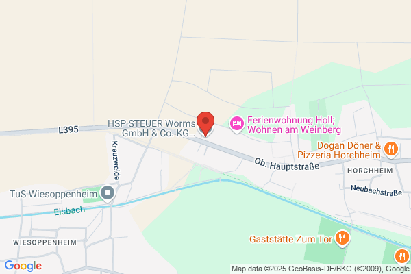 HSP STEUER Worms GmbH & Co. KG Steuerberatungsgesellschaft