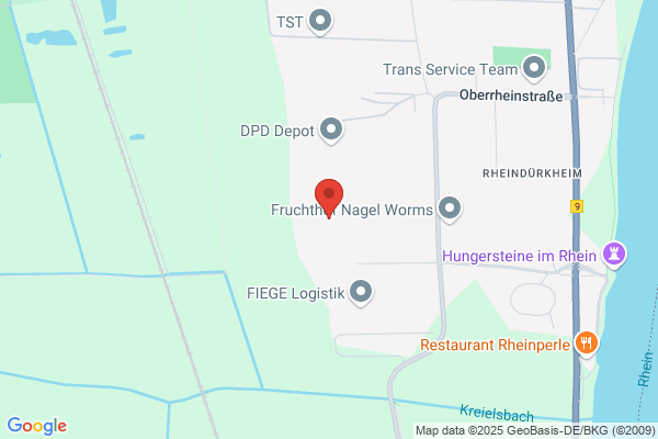 Trans Service Team GmbH