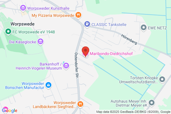 Diedrichshof Erwin-Stauss-Institut