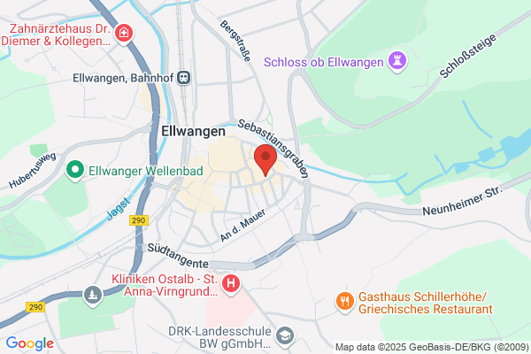 Kollegen