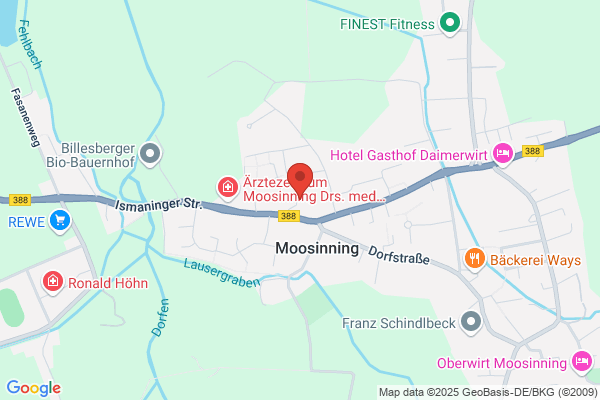 Marians Renovierung