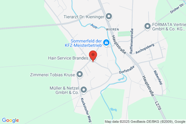 Hair-Service Brandes