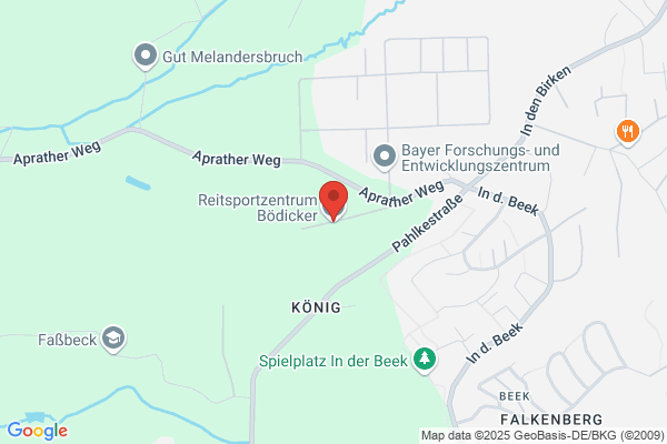 Dr. Dipl.-Kfm. Boedicker