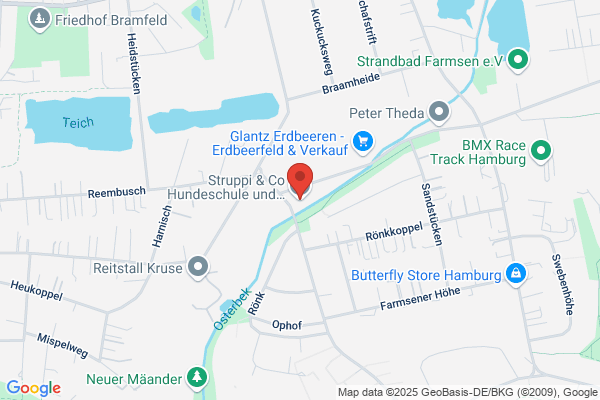 Struppieshundeschule