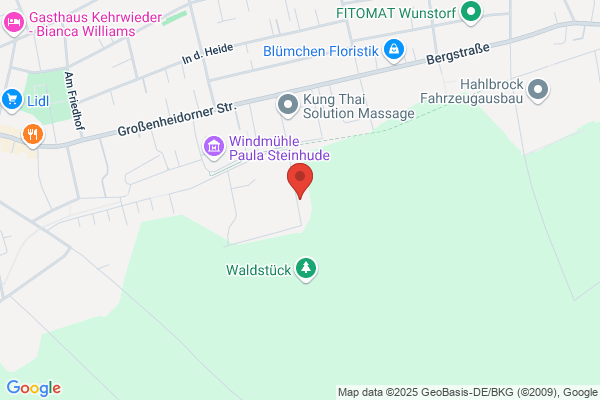 Bootsservice Steinhude
