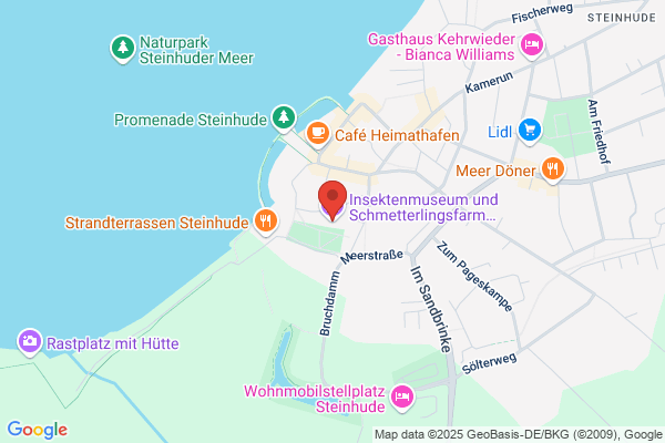 Insektenmuseum und Schmetterlingsfarm
