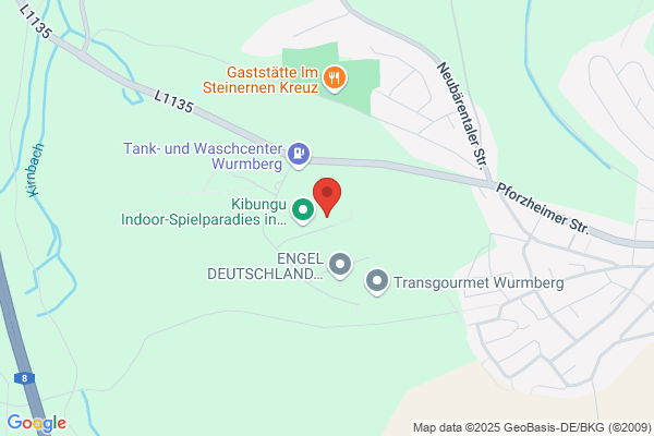 Auto Euro Wunsch