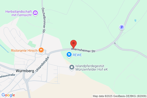 Kurt Ungericht, Erika