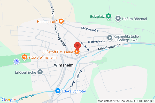 Website-Service