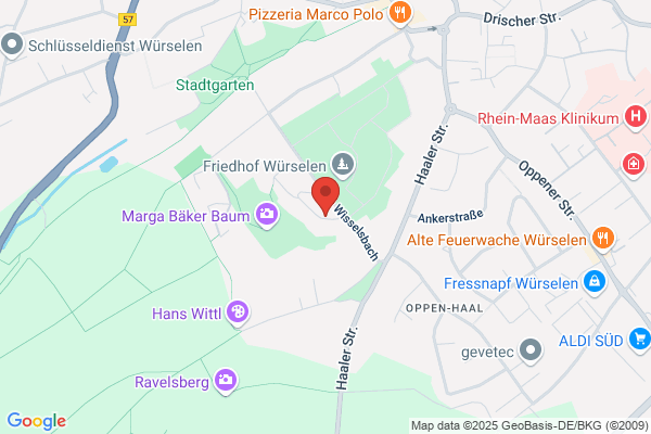 Karin Kolmsee