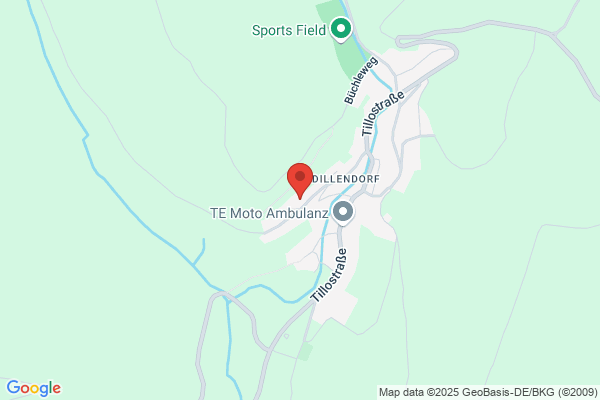 Dietsche Holztransporte