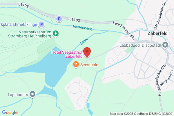 Hotel Seegasthof Zaberfeld