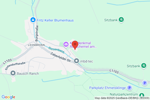 Naturheilpraxis für Pferde