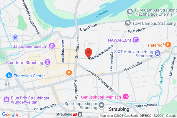 Flying-Pizza