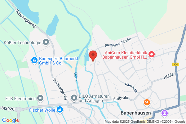 Uebersetzerboerse.com besorgt muttersprachl. Fachübersetzer im günstigen Ausland