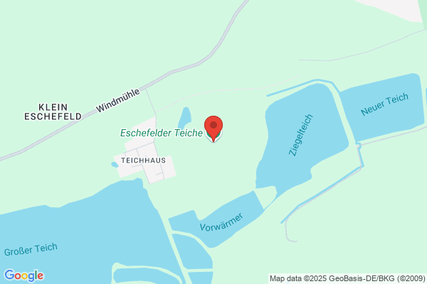 Esche Ilse