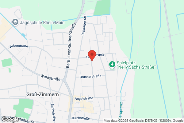Reinigung mit Trockendampf