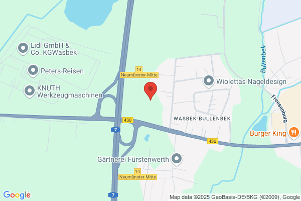 Holstein