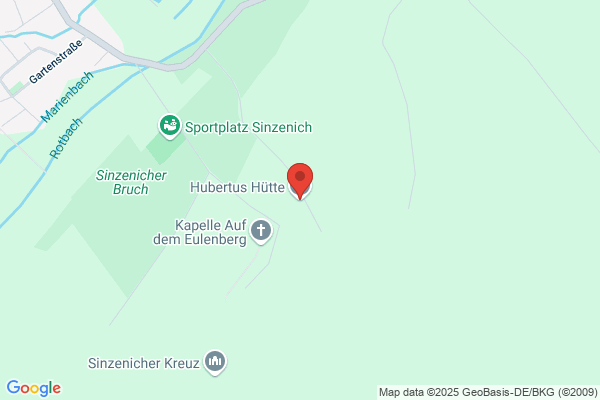 Hubertus Schwingen
