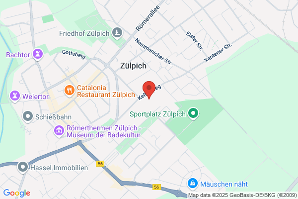 Förderkreis Europaschule am