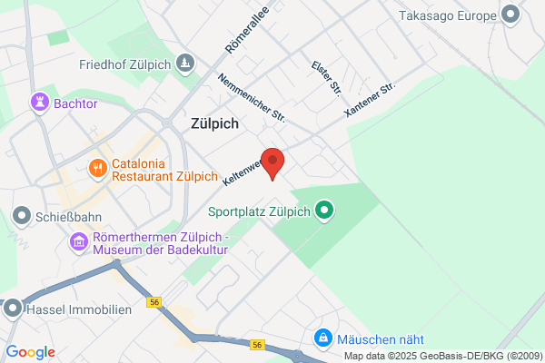 Realschule Zülpich