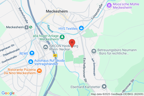 SFZ Meckesheim e.V.