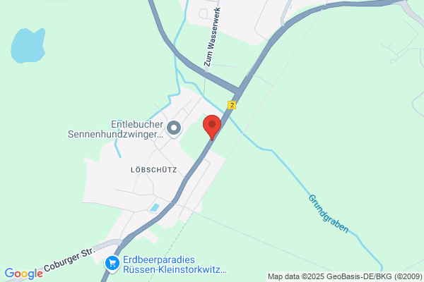 Elsteraue