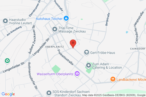Schwimmverein 1. SC Flamingo Zwickau e.V.