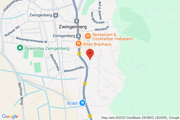 Schlestein