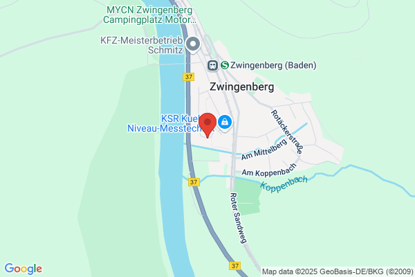 Die Salzkörner