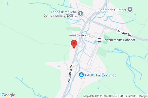 Friedemann Gödel