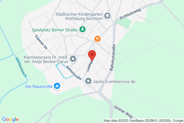 Herr Dr. med. Andreas Kremer