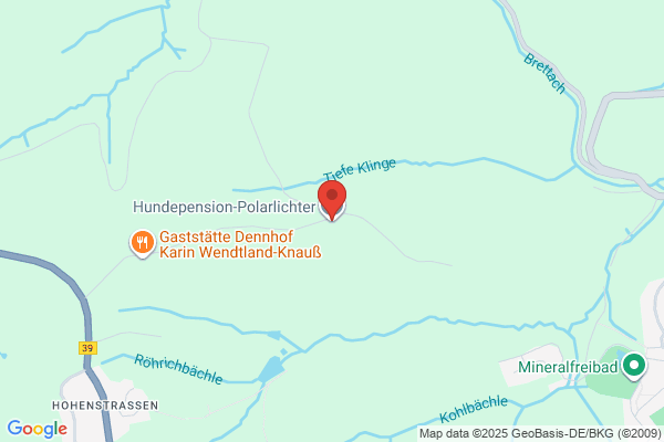 Hundepension-Polarlichter