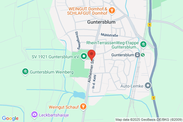 Grießhammer Immobilien